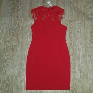Red lace sheath dress